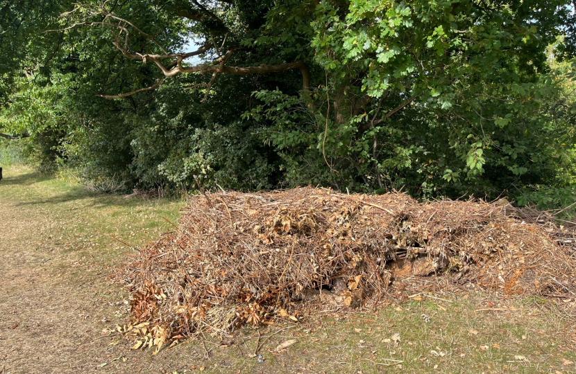 Garden waste dumped at Higher Drive Rec