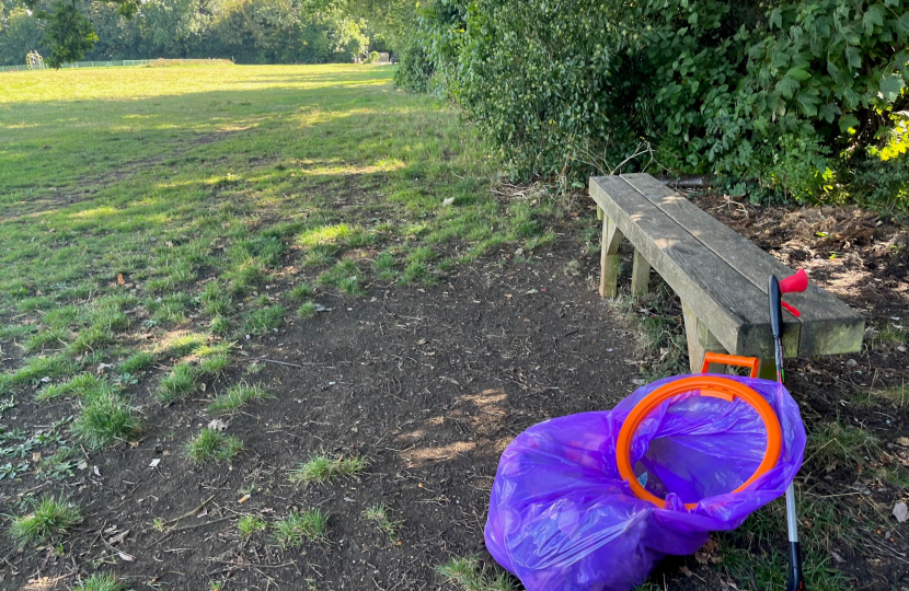 Litter pick at Higher Drive Rec