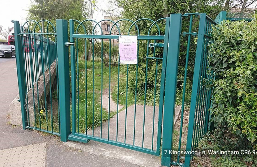 Hamsey Green Pond Sign