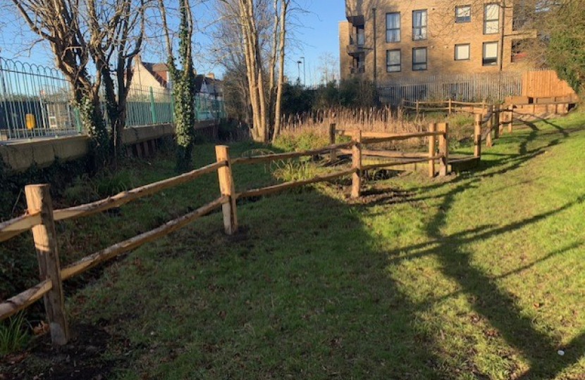 Hamsey Green Pond - Fencing