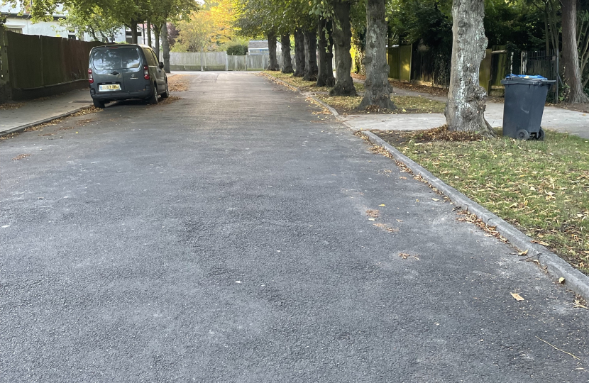 Trees after pruning in Harewood rd