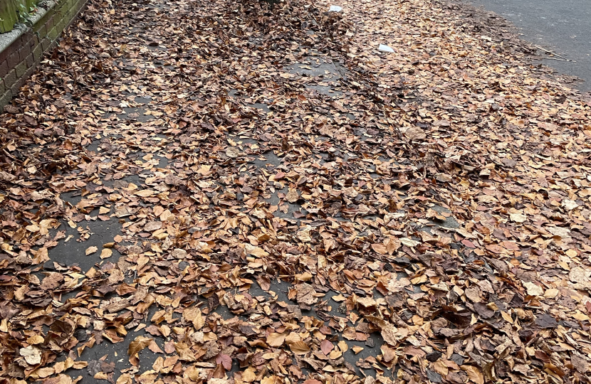 Heavy Leaf Fall in Harewood rd