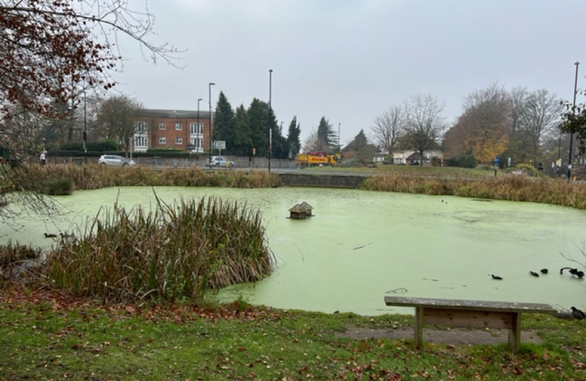 A peaceful view of Sanderstead pond