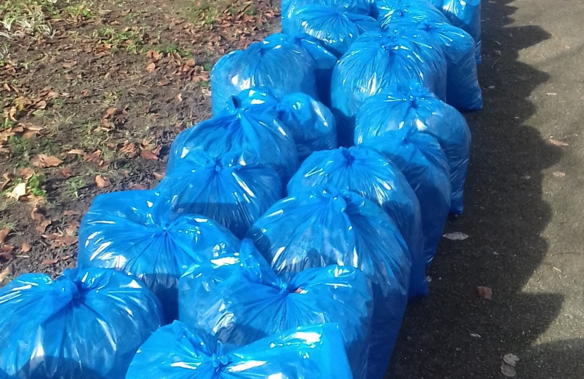 Leaf Clearance - Sanderstead Library