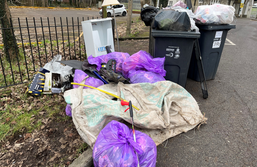 KENDRA litter pick