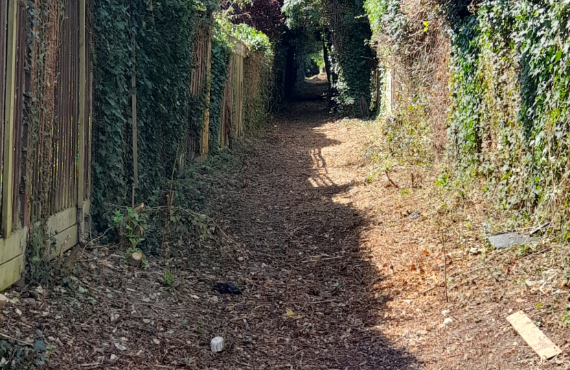 Old Fox Path