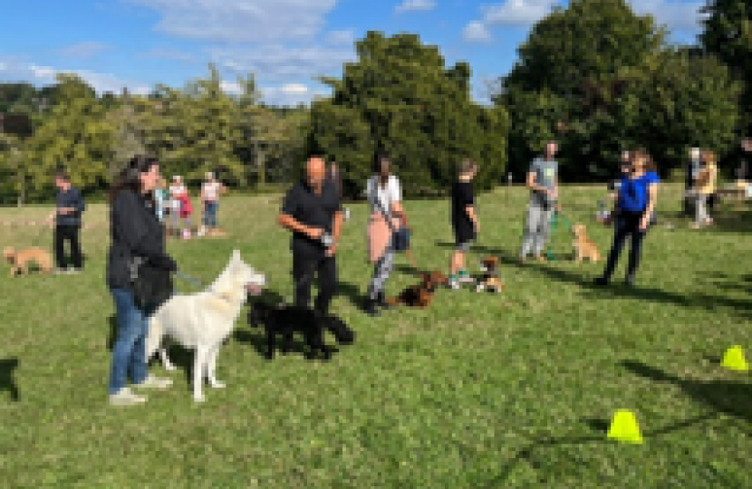 Purley Beeches Dog Show