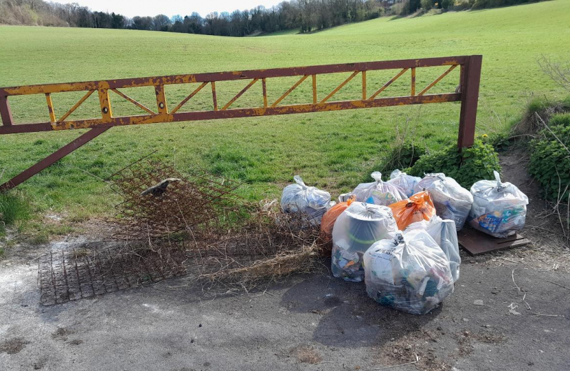 Riddlesdown Residents Association Litter Pick Sanderstead