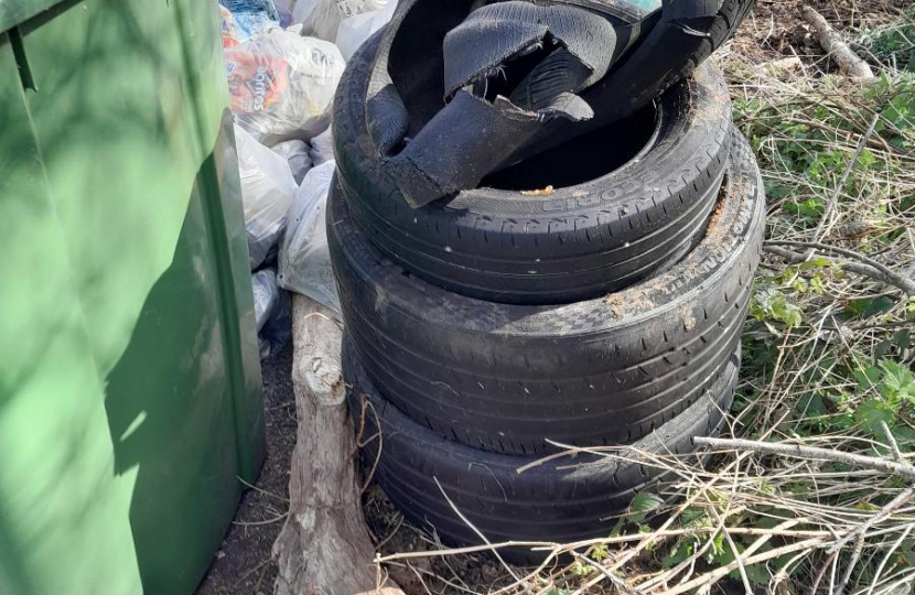 riddlesdown residents association litter pick