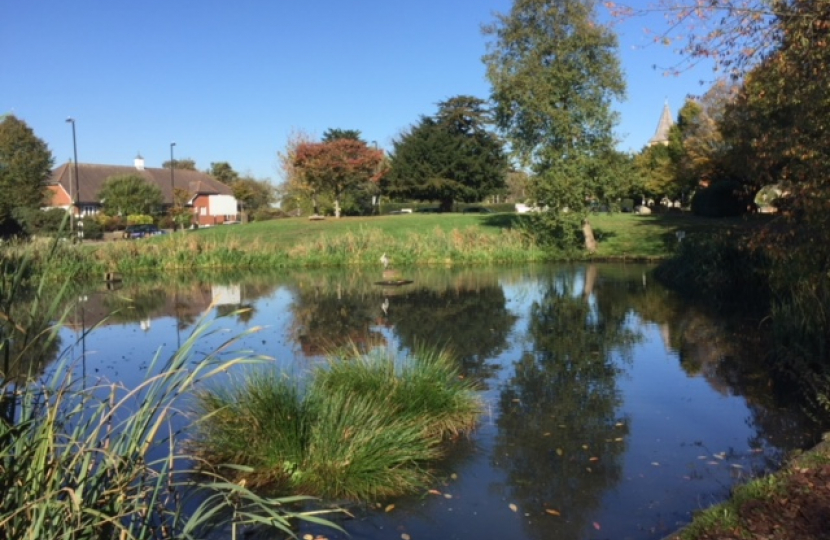 Sanderstead Pond - View from the Rectory