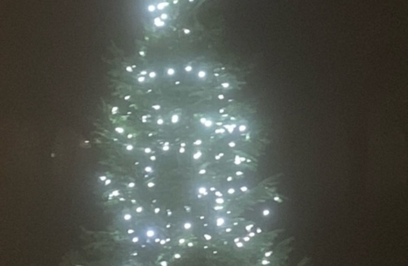 Xmas Tree Lit Sanderstead Pond