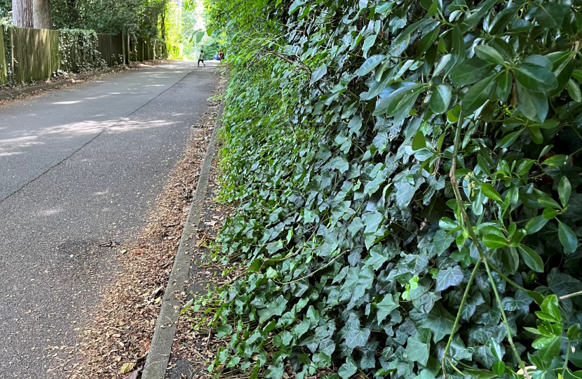 Roke Road vegetation blocking the pavement