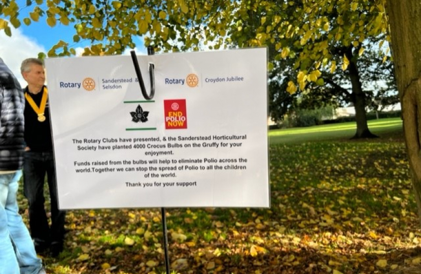 Rotary Club sign regarding the 4000 crocus bulbs planted on the Gruffy