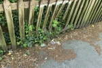 Sanderstead Road Fence