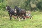 Horse drawn mower at Hutchinson's Bank