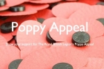 Royal British Legion Poppy Poster