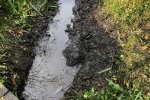 Hamsey Green Pond - Gulley Cleaning