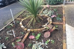 Plants at St Augustines Church gardens