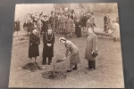 Queen Mother Plants Tree at Sanderstead Library