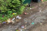 Red Gables - Overflowing Bins