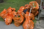 bags collected in Park Hill