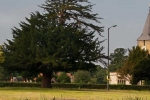 Sanderstead Church - Opposite the Proposed Development