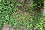 Community Recycling Centre - disused site overgrown with weeds