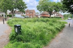 Overgrown Grass Verges