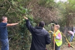 Cllr Margaret Bird with volunteers