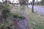 Mitchley Hill - Overgrown