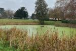 Sanderstead pond