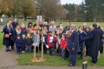 Sakura Tree Planting Ceremony