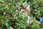 Pile of discarded gas canisters