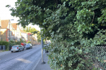 Overhanging foliage from British Rail Land obscures bus stop on Selsdon road