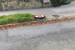 Traffic sign on grass verge in Hurst View road