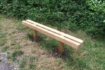 New Bench from the Friends