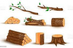 Wood Piles