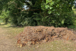 Garden waste dumped at Higher Drive Rec