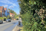 Overgrown foliage from Network Rail land Selsdon road