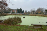 A peaceful view of Sanderstead pond