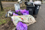 KENDRA litter pick