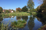 Sanderstead Pond - View from the Rectory