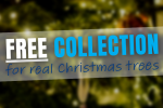 Christmas Tree Collection