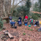 Purley Beeches Working Party