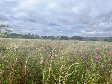 South Norwood Country Park