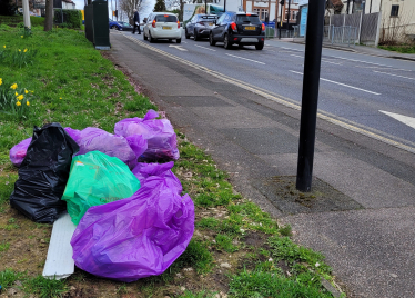 Selsdon triangle showing litter bags collected