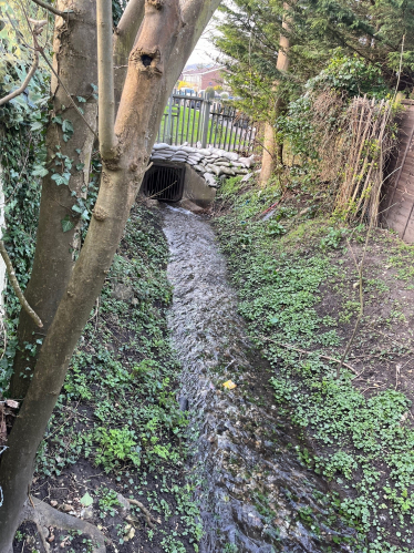 Clear trash screen on Bourne Park Close