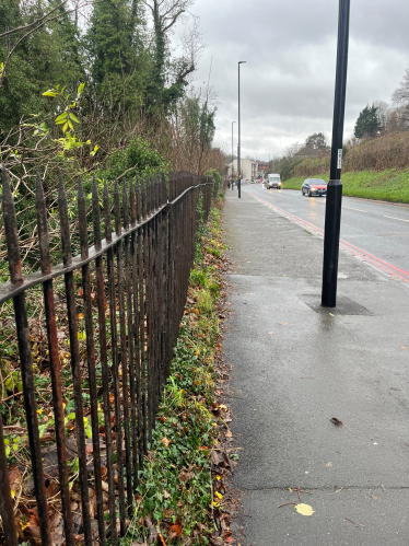 Cleared vegetation on the Godstone Road, Kenley