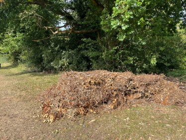 Garden waste dumped at Higher Drive Rec